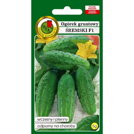 Ogórek Gruntowy Śremski F1 5g